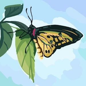 Meet your Posher, Everly